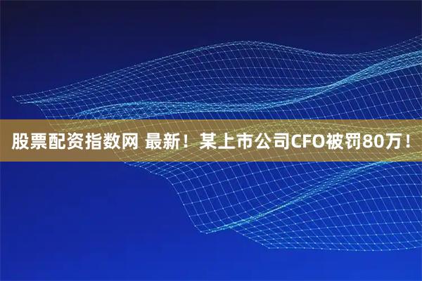 股票配资指数网 最新！某上市公司CFO被罚80万！