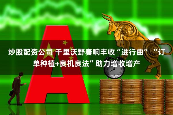 炒股配资公司 千里沃野奏响丰收“进行曲” “订单种植+良机良法”助力增收增产